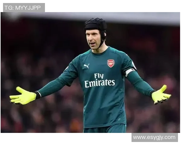 全球足球历史上最伟大的十位门将盘点与分析