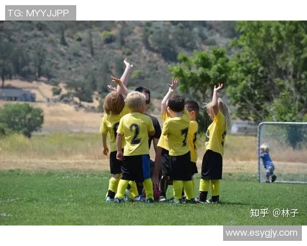 探索yoyo足球的魅力与技巧提升之路，助你成为球场上的明星球员