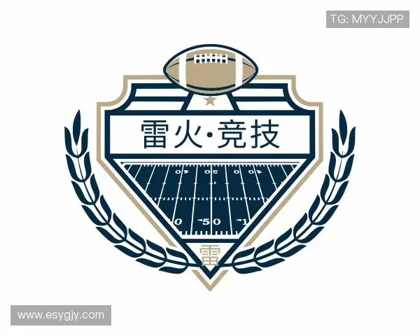 了解雷火·竞技